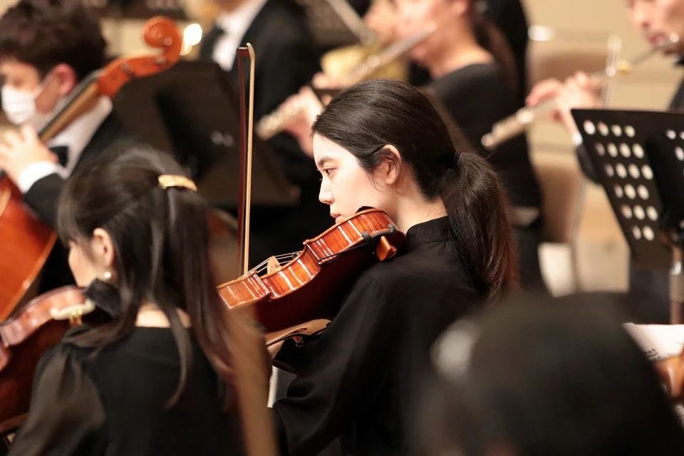 オーケストラでヴァイオリンを演奏する奏者